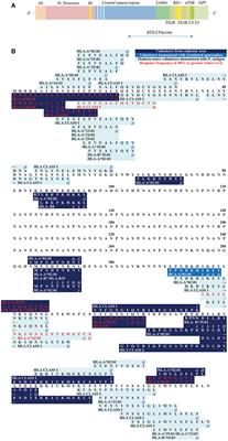 Comprehensive Review of Human Plasmodium falciparum-Specific CD8+ T Cell Epitopes